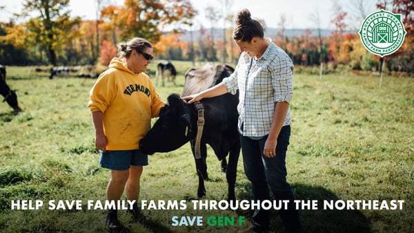 6 Easy Ways You Can Help Save Small Organic Family Farms
