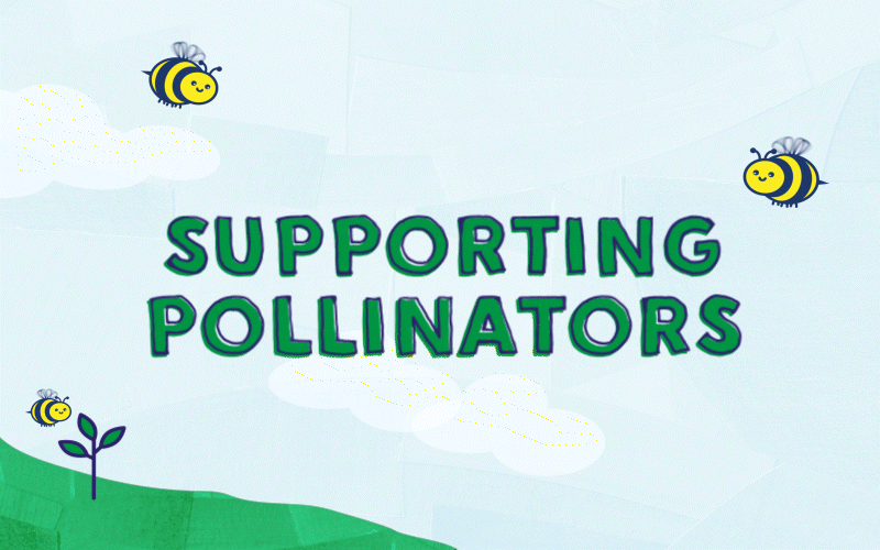 Stonyfield Organic | Supporting Pollinators